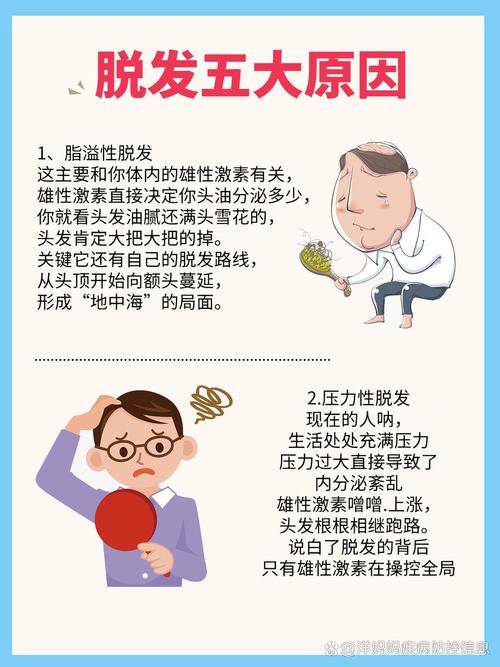 脱发：探索成因、影响与综合应对策略