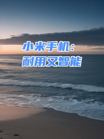 小米：从智能手机到智能生活