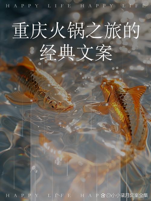 舌尖上的温暖：火锅文化的探索之旅