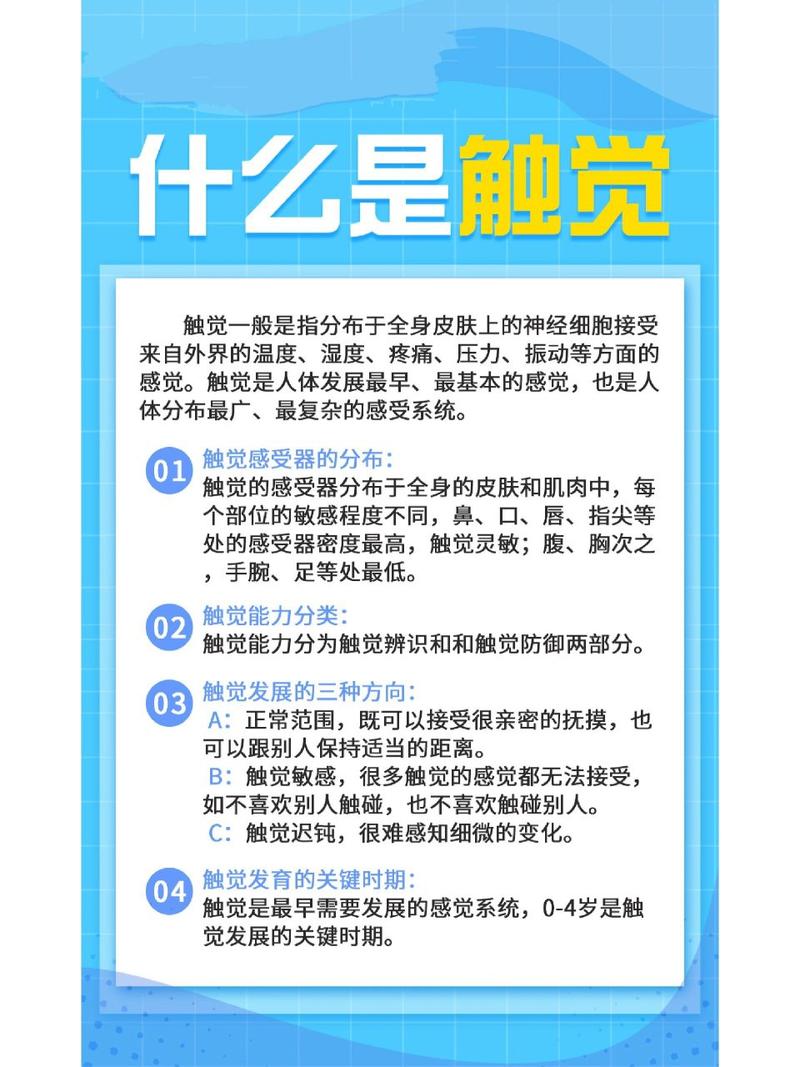 触觉的维度