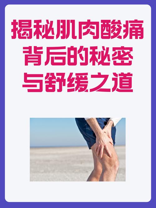 肌肉酸痛背后的科学与恢复之道