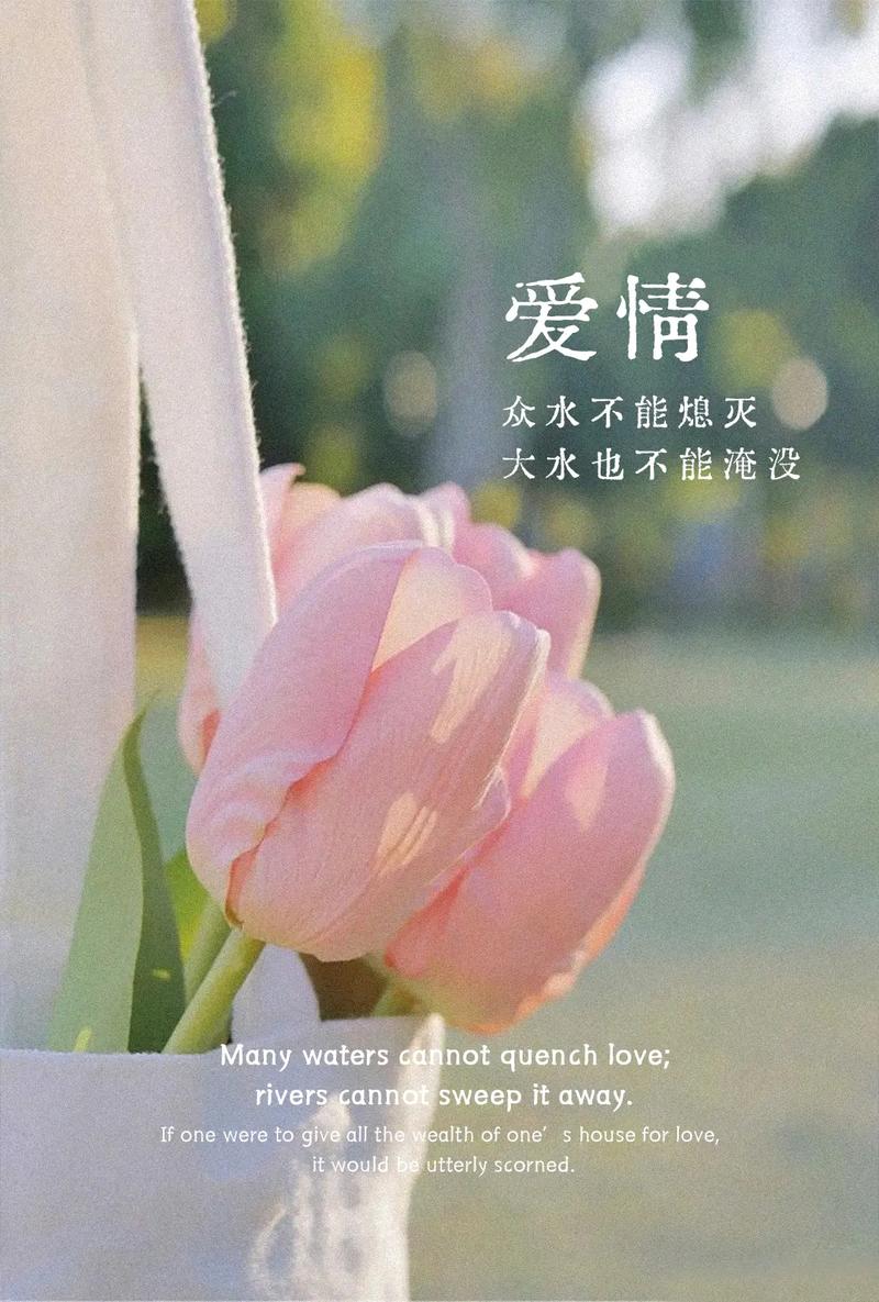 详细阅读:恋爱的珍惜:守护情感的艺术 恋爱的珍惜:守护情感的艺术