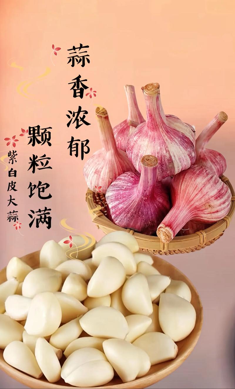 大蒜：从调味佳品到健康守护者的全面解析