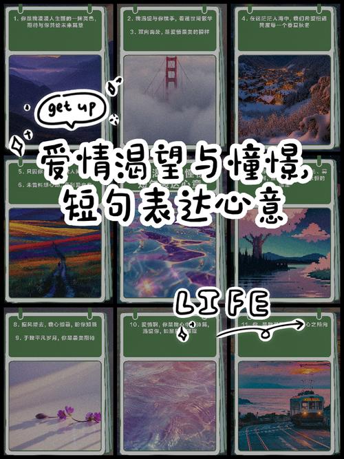 恋爱的期待：一场关于心动与憧憬的旅程