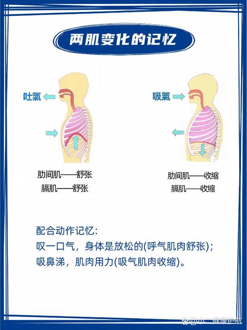 自然吸气的奥秘：从原理到实践