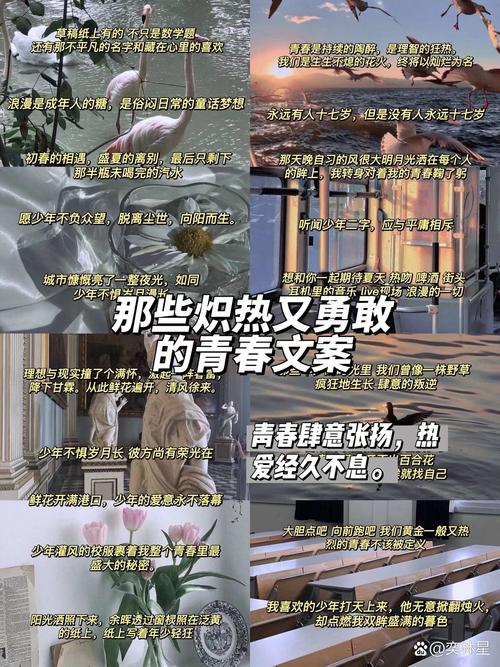 青春恋爱的朝气：一段关于成长与情感交织的故事