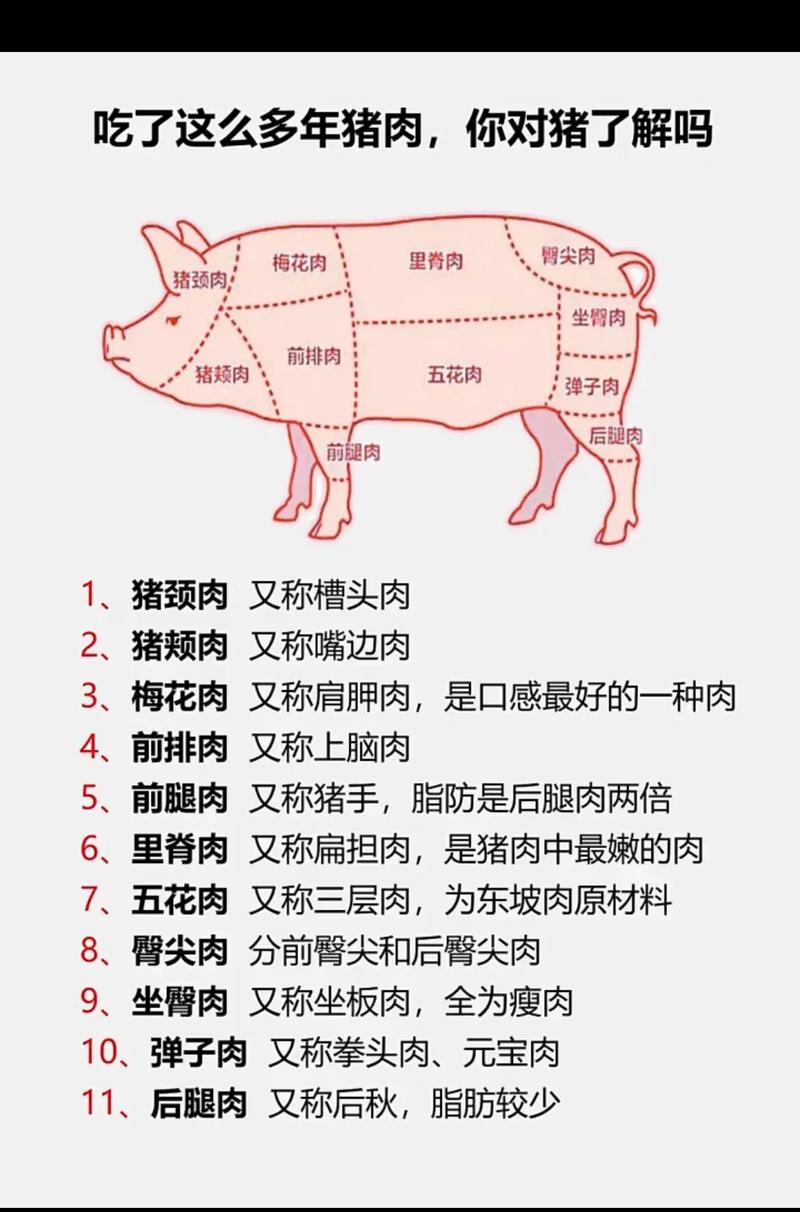 猪肉：从农场到餐桌的全面解析