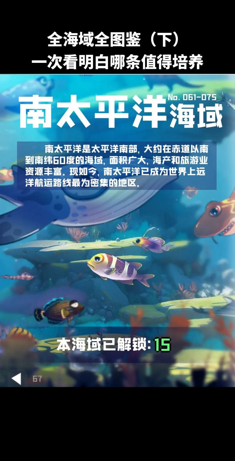 鱼肉的奥秘：从海洋到餐桌的奇妙之旅