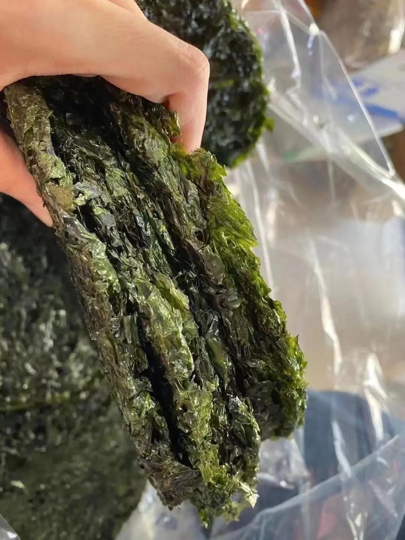 紫菜：海洋的馈赠与文化的瑰宝