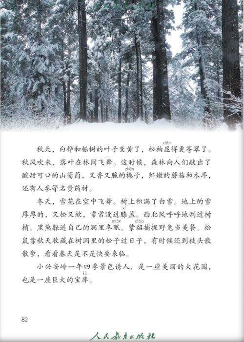 详细阅读:松子:从自然馈赠到文化符号的奇妙之旅 松子:从自然馈赠到文化符号的奇妙之旅