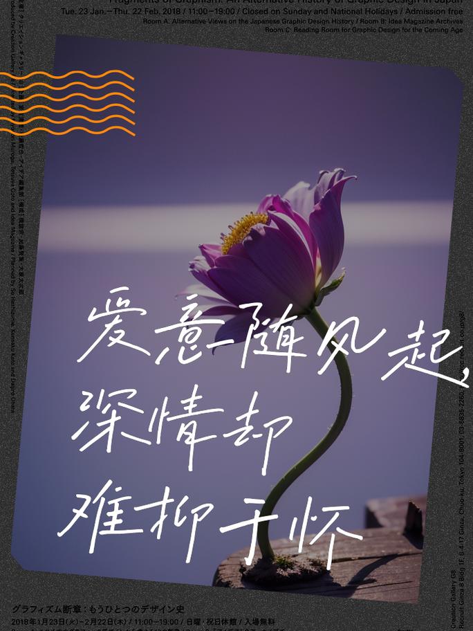 爱在春风里，心随花瓣舞