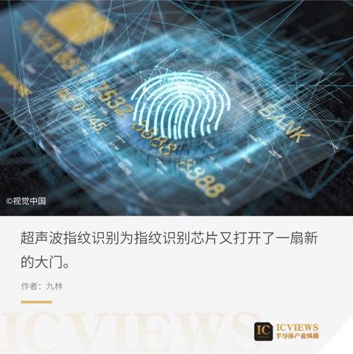 指纹识别：生物特征识别领域的关键技术