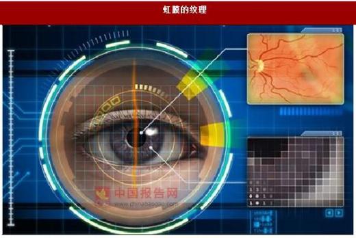 虹膜识别：开启安全便捷的身份认证新时代