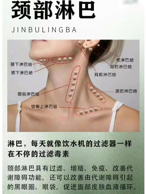 淋巴排毒按摩：解锁身体自愈密码