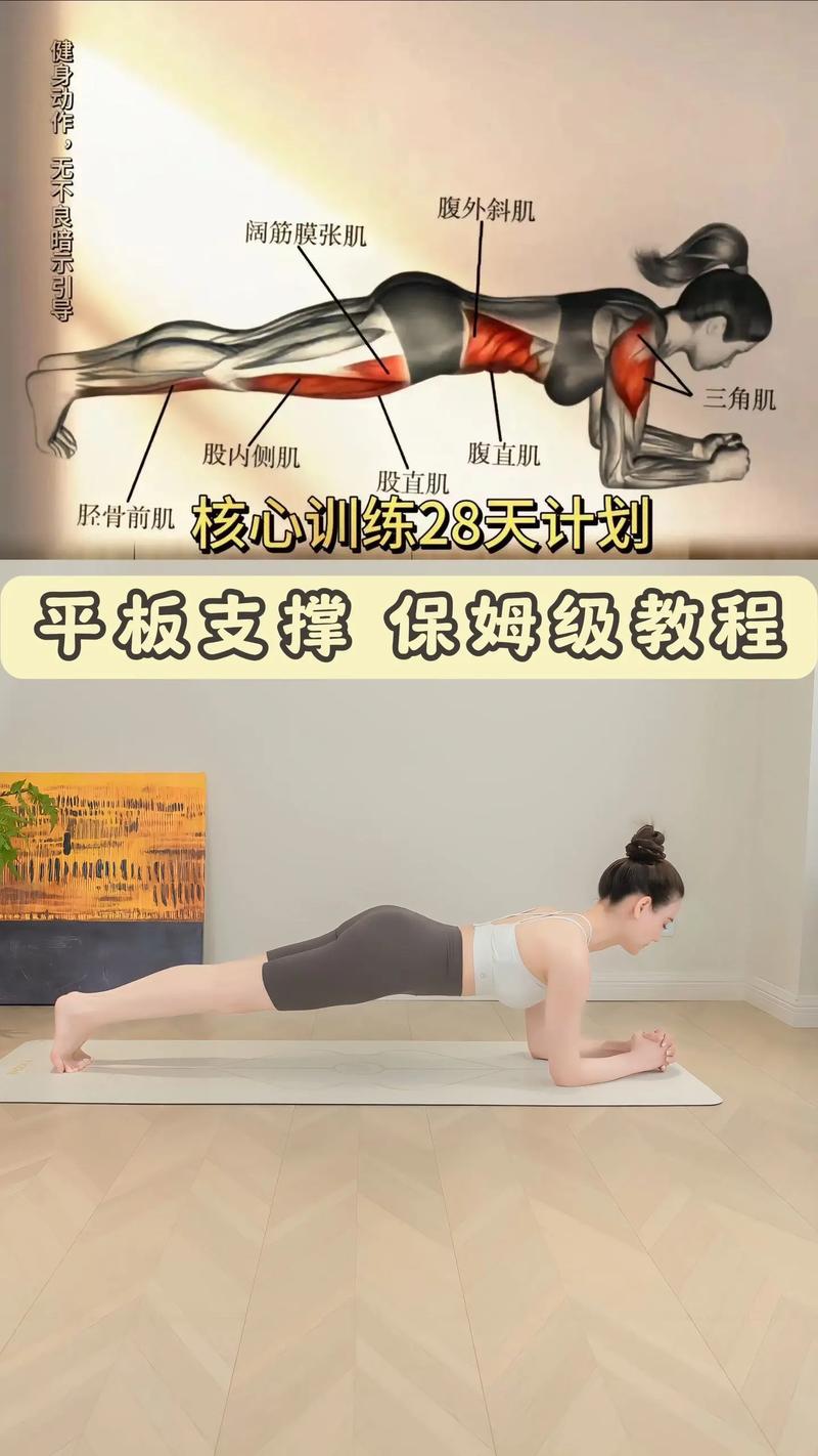 详细阅读:深入探索平板支撑的奥秘 深入探索平板支撑的奥秘