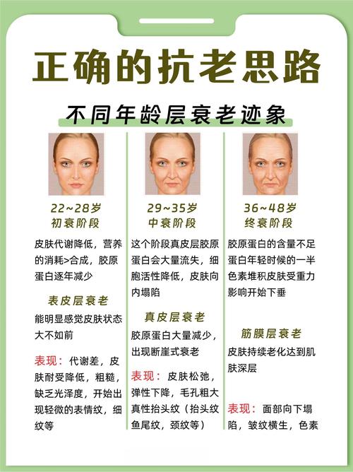皮肤老化进程与延缓策略