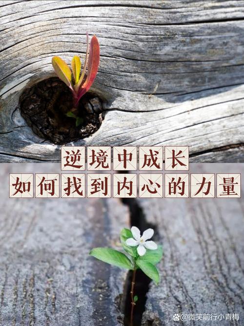 详细阅读:拥抱挑战,成就未来 —— 在逆境中寻找成长的力量 拥抱挑战,成就未来 —— 在逆境中寻找成长的力量