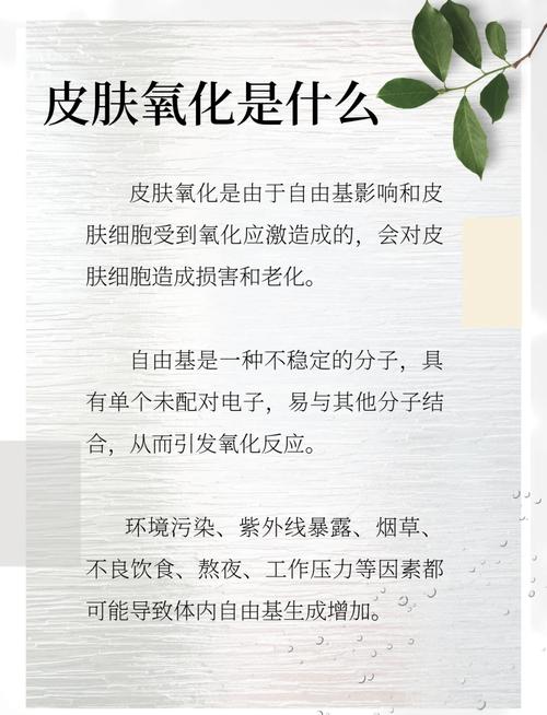 肌肤氧化影响与抗氧化策略：守护肌肤健康的秘密