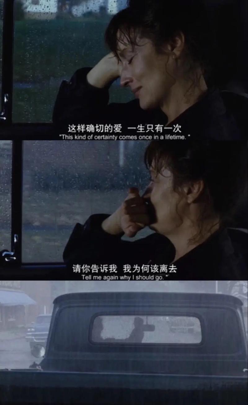 断桥遗梦：分手的绝望之旅