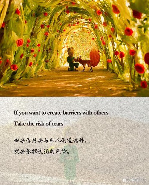 从小王子看人生真谛：一场心灵的奇幻之旅