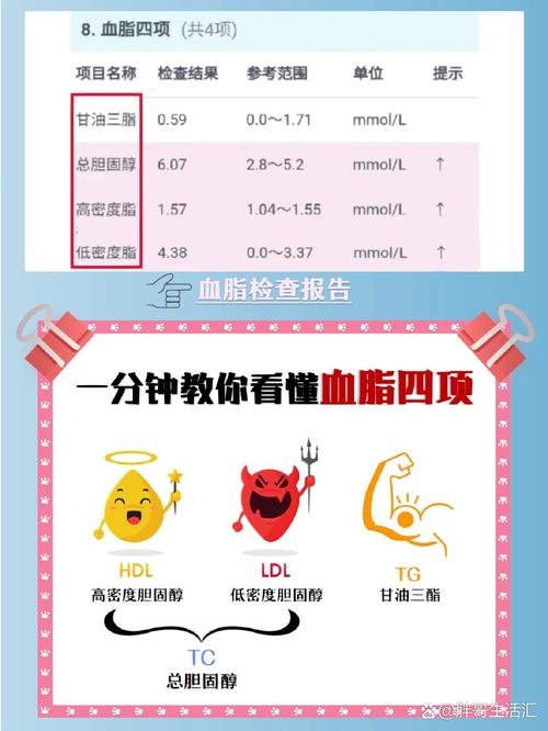 血脂：人体健康的“隐形杀手”与“能量宝库”
