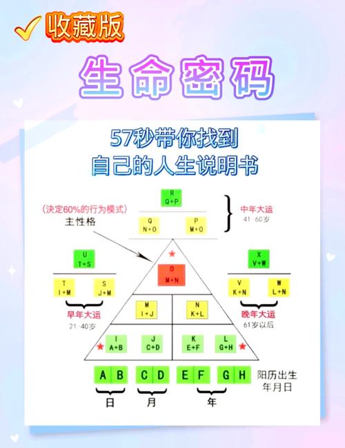 探索心率的奥秘：生命律动的密码