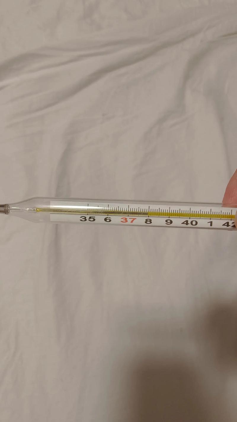 体温：生命的内在温度计