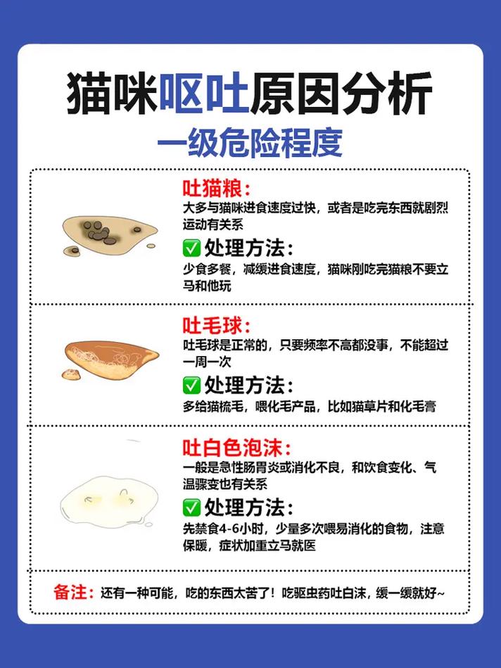 详细阅读:探索呕吐:原因、影响与应对策略 探索呕吐:原因、影响与应对策略