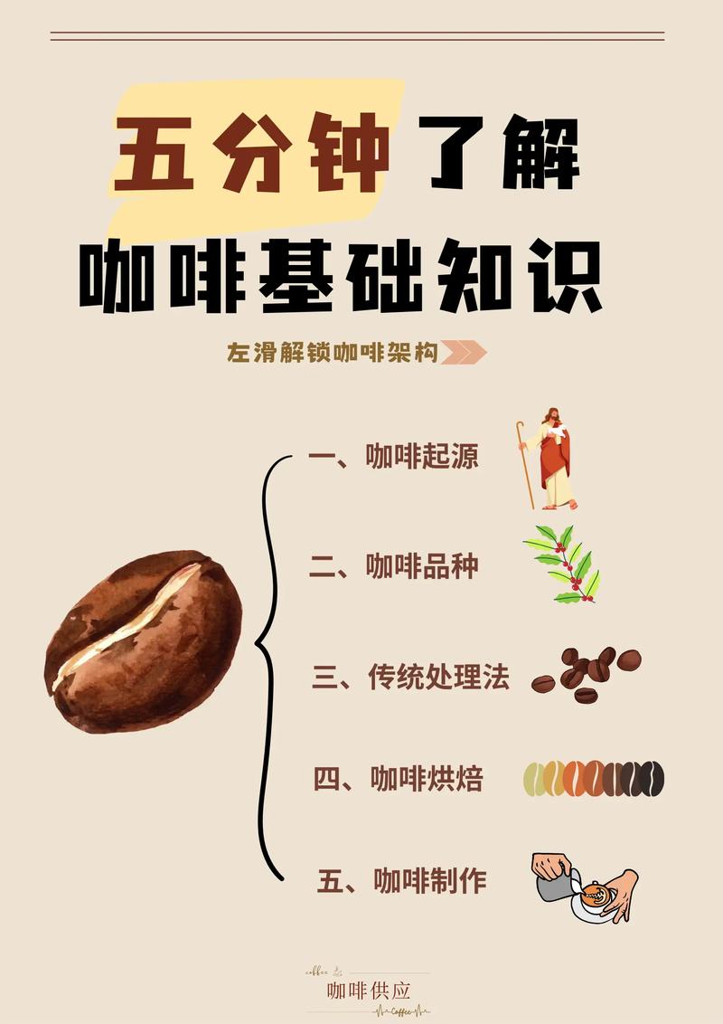 咖啡的奥秘：从种子到杯中香醇的探索