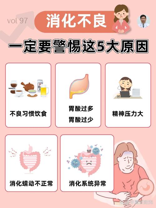 消化不良：原因、影响与改善策略