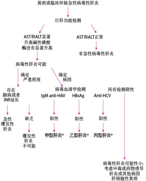 一、肝炎的概述