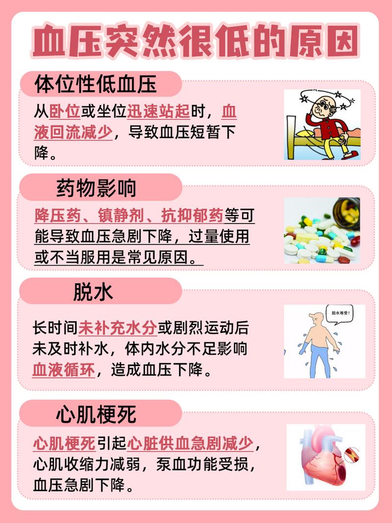 低血压：了解、预防与治疗