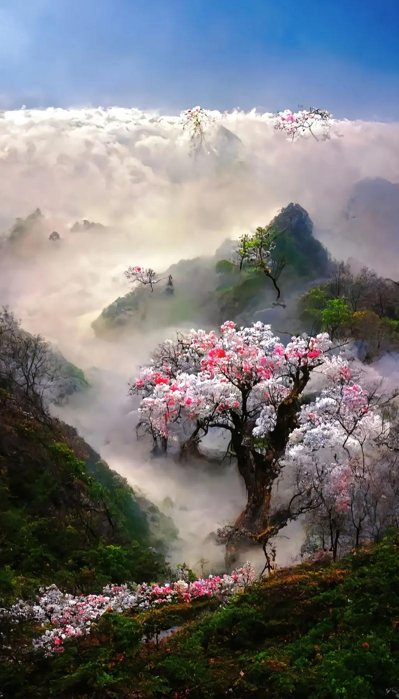 恋爱，那片心中的桃花源