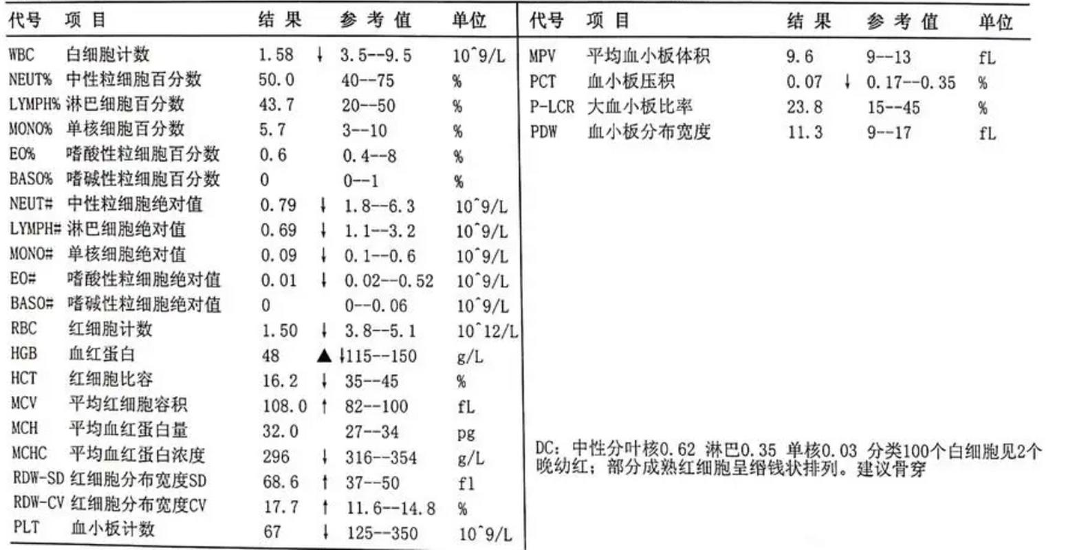 白血病：一种复杂的血液系统疾病