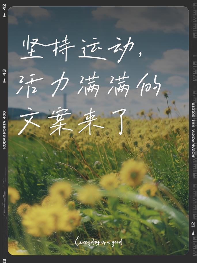 运动：健康生活的基石与活力之源