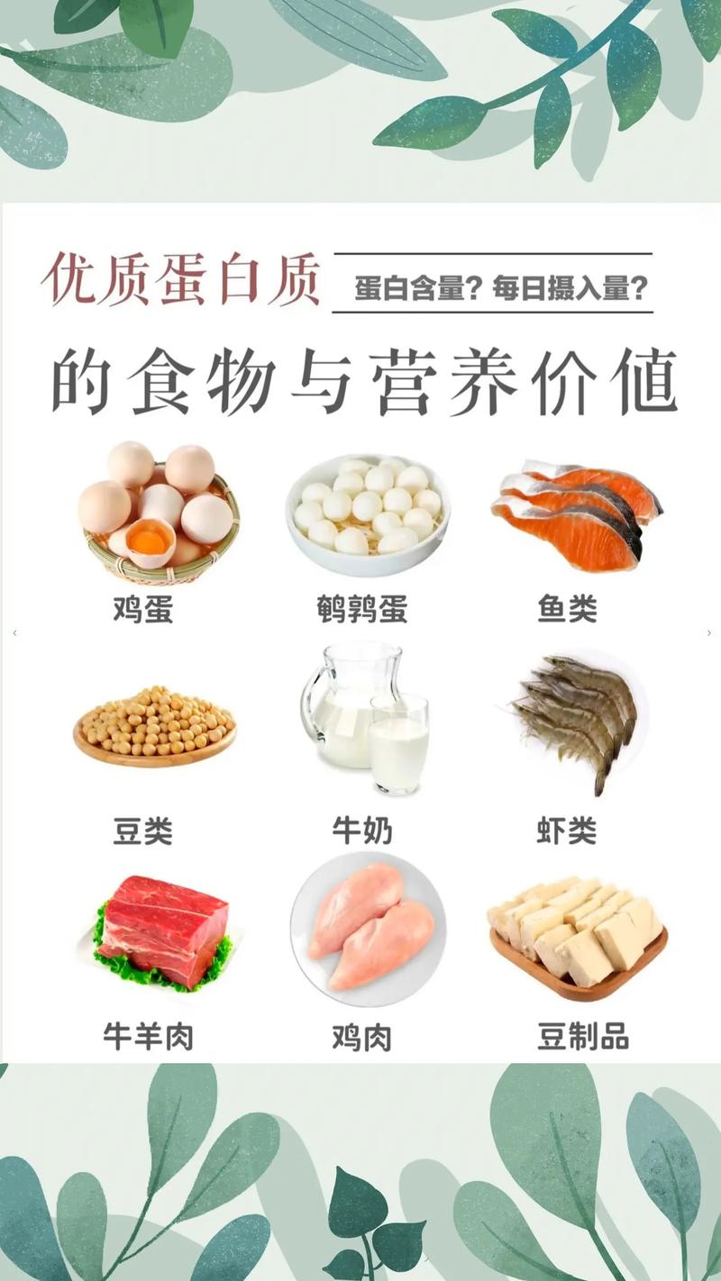 肉类：人类饮食中的重要蛋白源