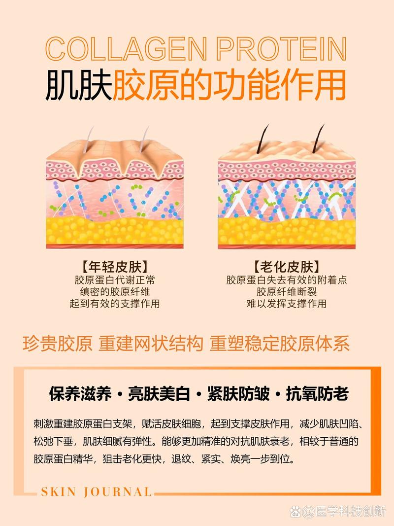 胶原蛋白——肌肤的天然滋养宝库