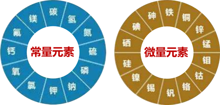 矿物质与美容的关系