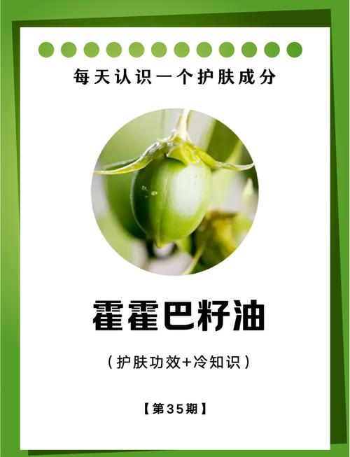 详细阅读:油的奥秘与应用 油的奥秘与应用
