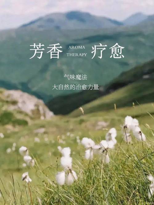 芳香疗法：自然与身心的和谐共鸣