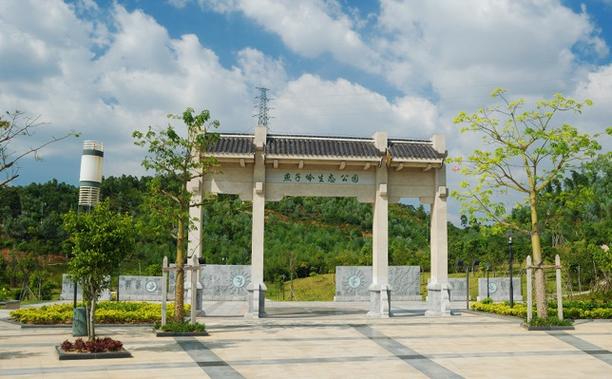 坪山燕子岭生态公园：自然与人文交织的绿色瑰宝