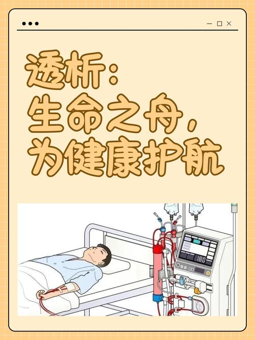 健康保险：守护生命之舟，共筑健康防线