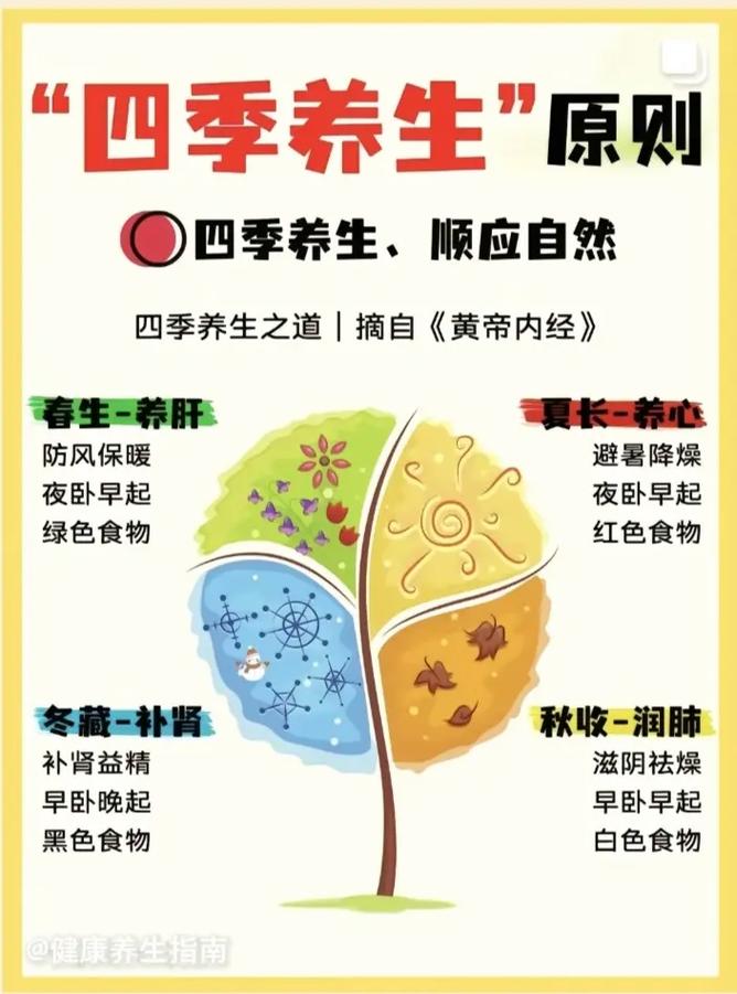 四季养生：顺应天时，调和身心