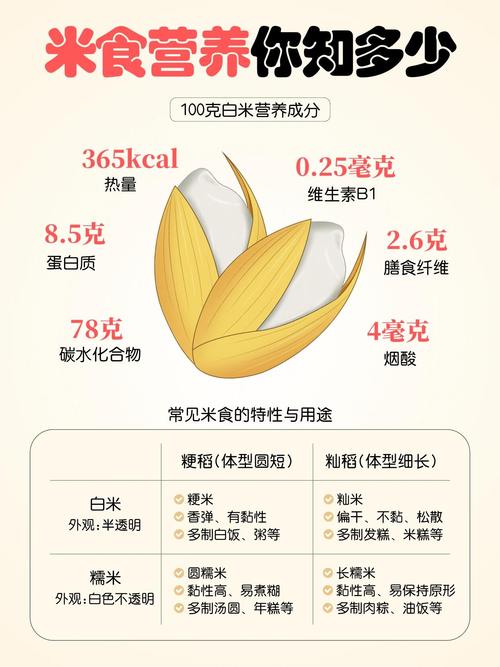大米：餐桌上的营养宝库与文化瑰宝