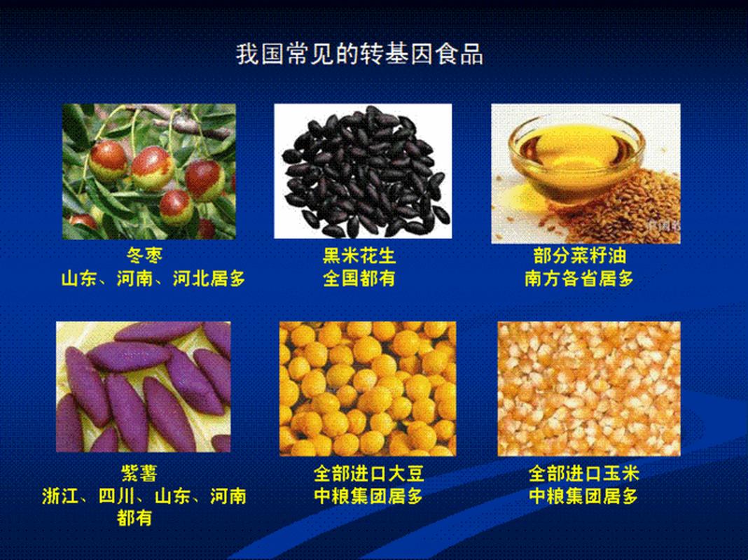 转基因食品：科技与生活的交织