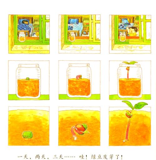 绿豆：从田间到餐桌的奇妙之旅