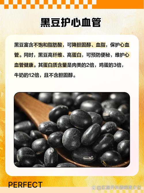 黑豆的营养价值与健康功效