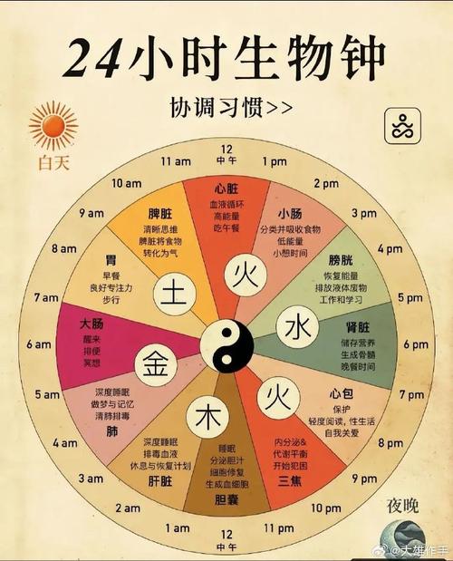 详细阅读:生物钟与美容的联系 生物钟与美容的联系