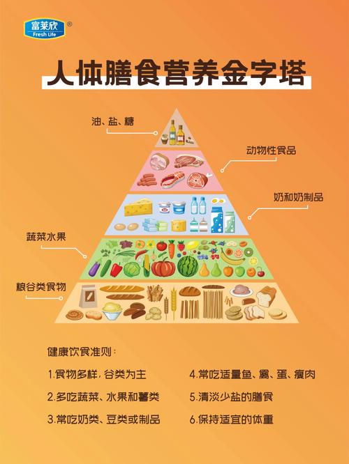 饮食营养：探索健康生活的基石