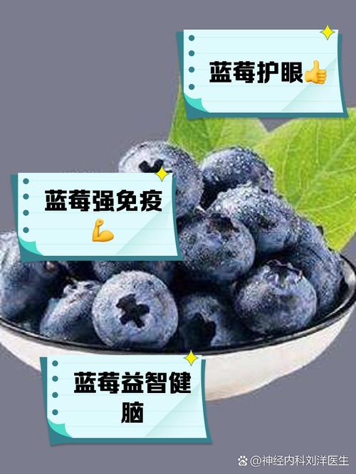 蓝莓的奥秘：从自然馈赠到健康宝藏的深度探索